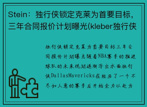 Stein：独行侠锁定克莱为首要目标，三年合同报价计划曝光(kleber独行侠)